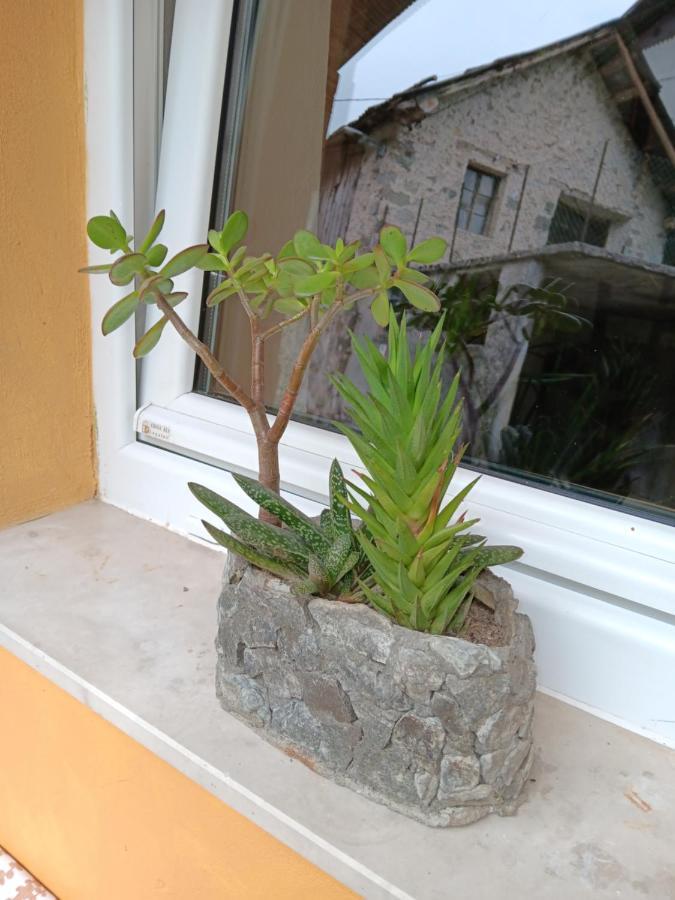 Apartma Metija 科巴里德 外观 照片